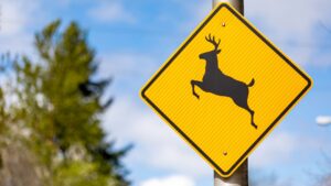 A yellow deer crossing sign.