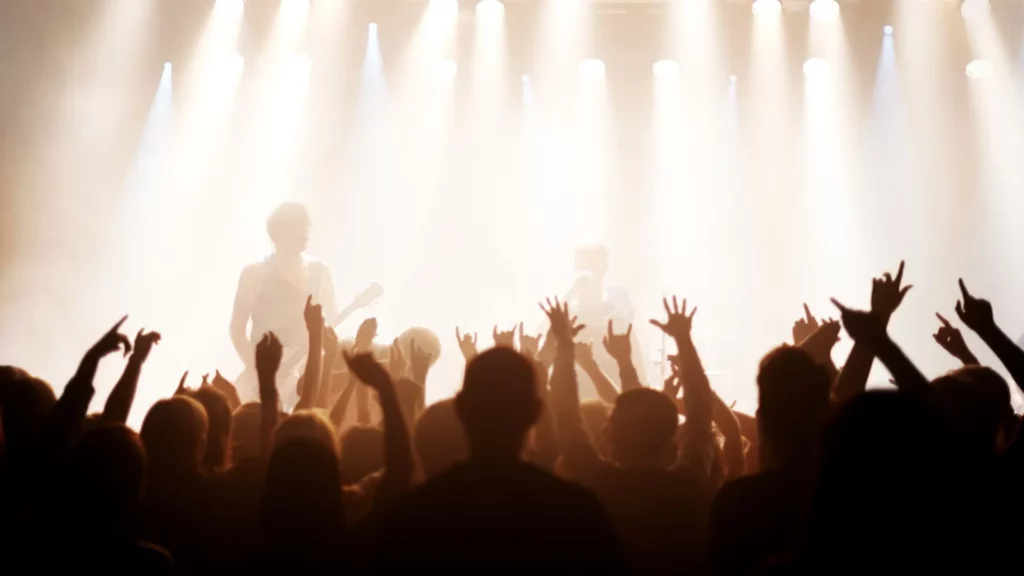 A crowd of people at a live show.