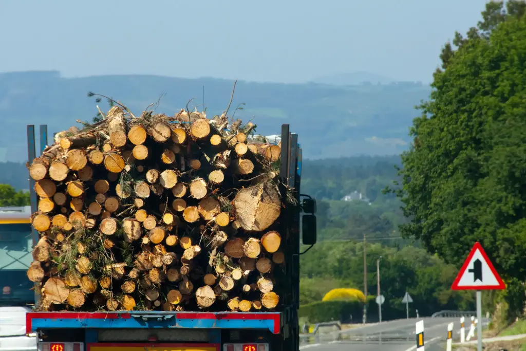 A large truck carrying logs in the back.