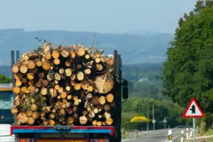 A large truck carrying logs in the back.